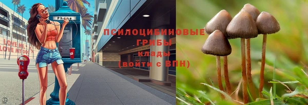 мет Абаза