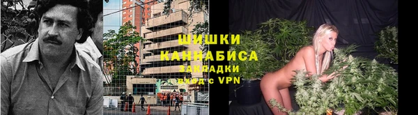 молекула духа Алзамай