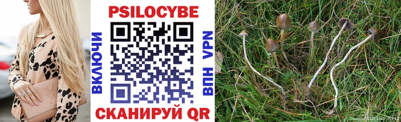 хочу   Мегион  Галлюциногенные грибы Psilocybe 